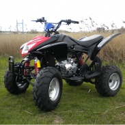 250cc - Quad/ATV 250cc Big Tiger (aanbieding) - 204